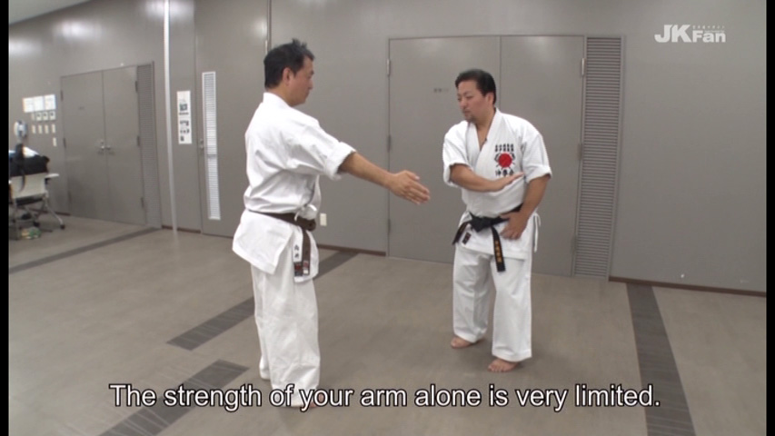 Okinawan Kenpo “Basic Techniques” Seminar by Yoshitomo Yamashiro -Philosophy and usage, acquiring them makes a technique- - Image 8