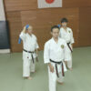 The truth of Koryu (ancient) Kata by Toshihiro Oshiro - Image 2