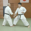 The truth of Koryu (ancient) Kata by Toshihiro Oshiro - Image 7