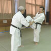 The truth of Koryu (ancient) Kata by Toshihiro Oshiro - Image 6