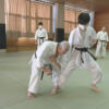 The truth of Koryu (ancient) Kata by Toshihiro Oshiro - Image 4