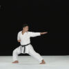 KATA GUIDE MOVIE FOR ALL JAPAN KARATEDO SHOTOKAN -TOKUI KATA 2- Vol.1 - Image 4