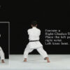 KATA GUIDE MOVIE FOR ALL JAPAN KARATEDO SHOTOKAN -TOKUI KATA 2- Vol.1 - Image 5