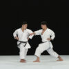 KATA GUIDE MOVIE FOR ALL JAPAN KARATEDO SHOTOKAN -TOKUI KATA 2- Vol.1 - Image 7
