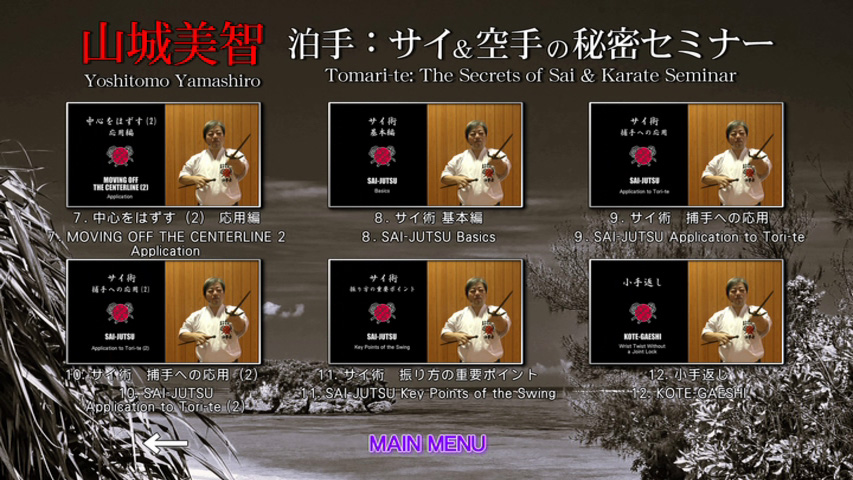 Yoshitomo Yamashiro Tomari-te: The Secrets of Sai & Karate Seminar - Image 3