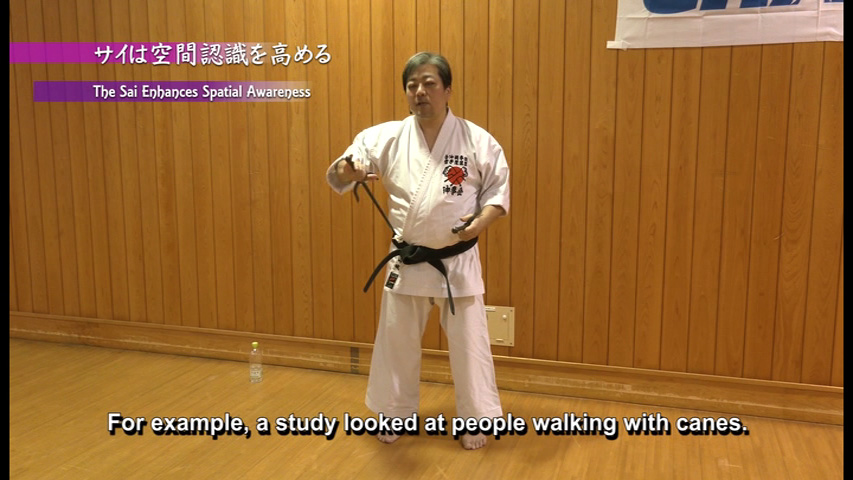 Yoshitomo Yamashiro Tomari-te: The Secrets of Sai & Karate Seminar - Image 6