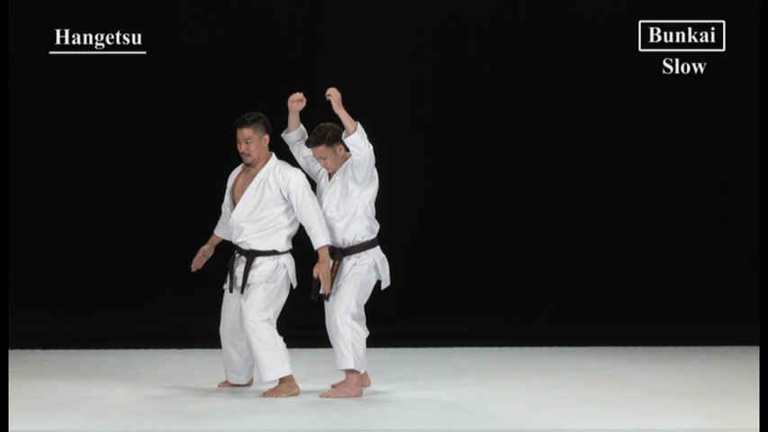 KATA GUIDE MOVIE FOR ALL JAPAN KARATEDO SHOTOKAN -TOKUI KATA 3- Vol.1 - Image 7